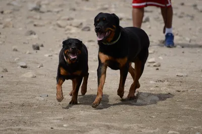 DSC_2998 (Large).JPG